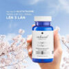 my-pham-sakura-ha-noi-mien-bac-531530